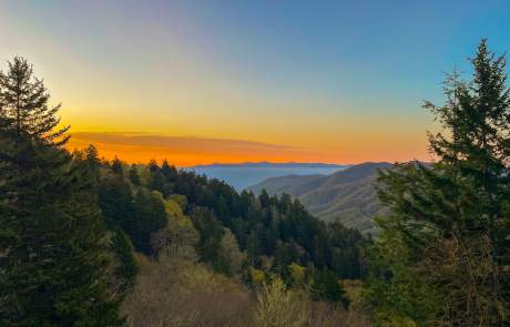 sunrise at newfound gap in smoky mountains