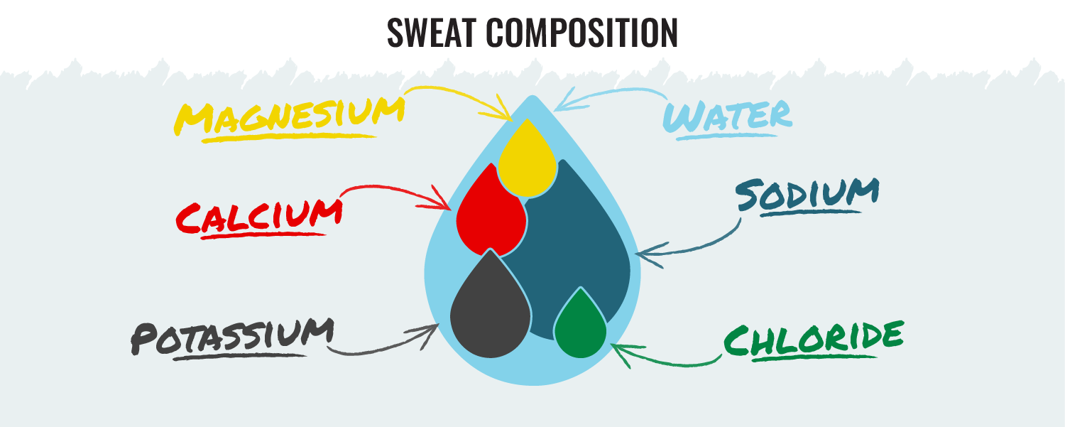 sweat compostion inforgraphic